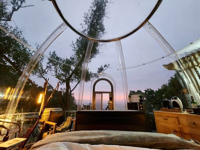 The Ocean Dome at Misty Mountain Reserve: Inside dome looking out at pastel dusk sky