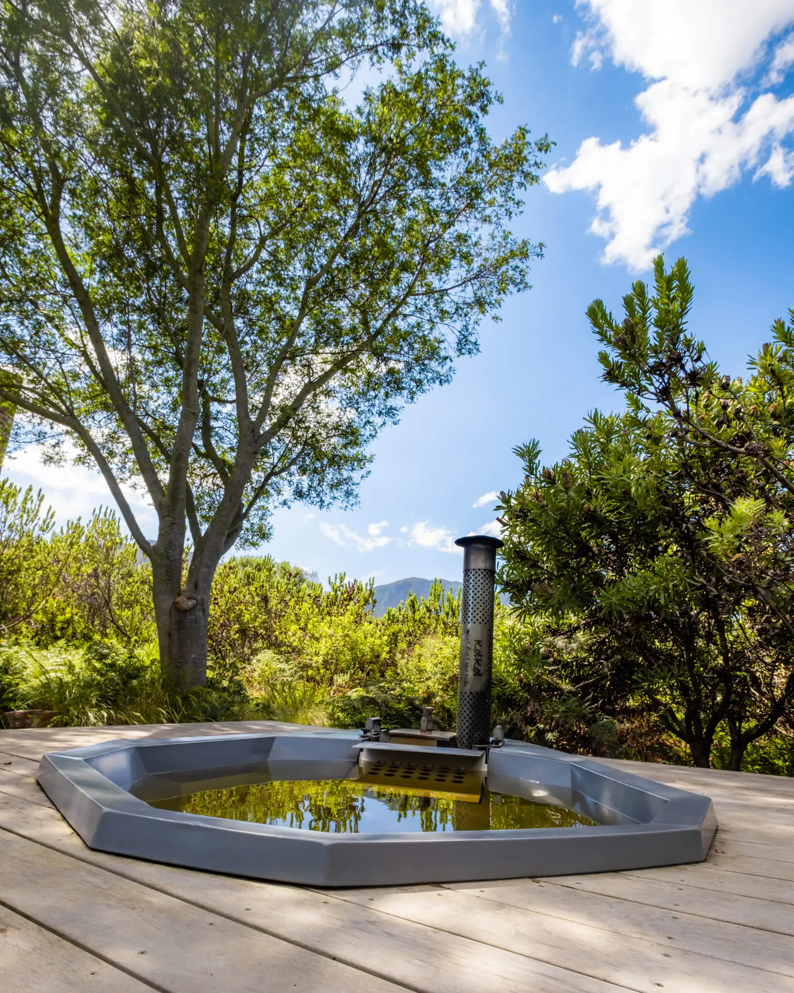 Earth Eco Cabin at Stonehaven: Octagonal hot tub on wooden deck under tree, mountains and blue sky